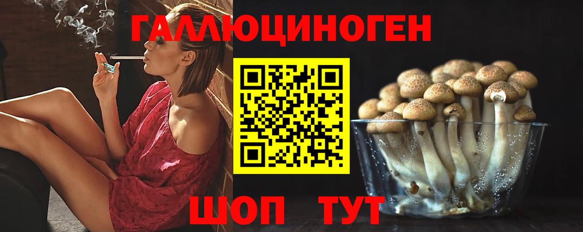 Алатырь  Галлюциногенные грибы Psilocybe  Вход с VPN  Галлюциногенные грибы MAGIC MUSHROOMS 