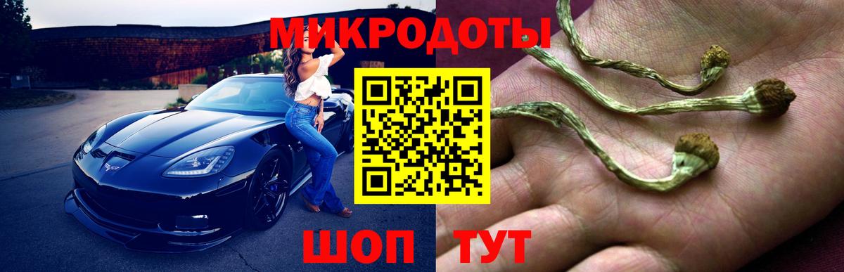 Псилоцибиновые грибы Psilocybe Алатырь